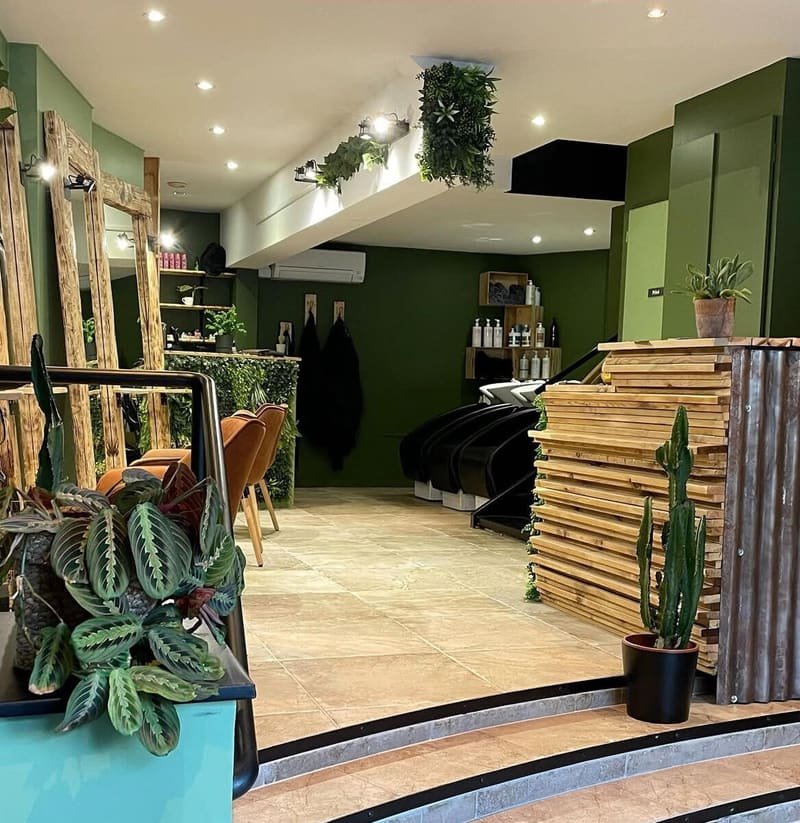 Vue d’ensemble du salon : comptoir en bois, plantes, postes de coiffage et bacs de lavage au fond